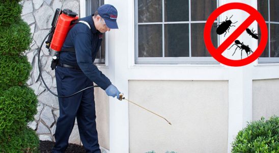 Kumlu Tahtakurusu İlaçlama böcek ilaçlama ve haşere kontrolü — ilaclama-tr.com